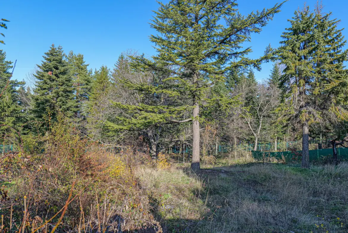 Plot in Boyana with a great location for sale