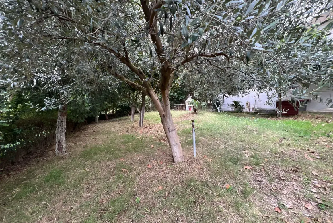 Villa with Land for Sale in Farkë e Vogël, Tirana