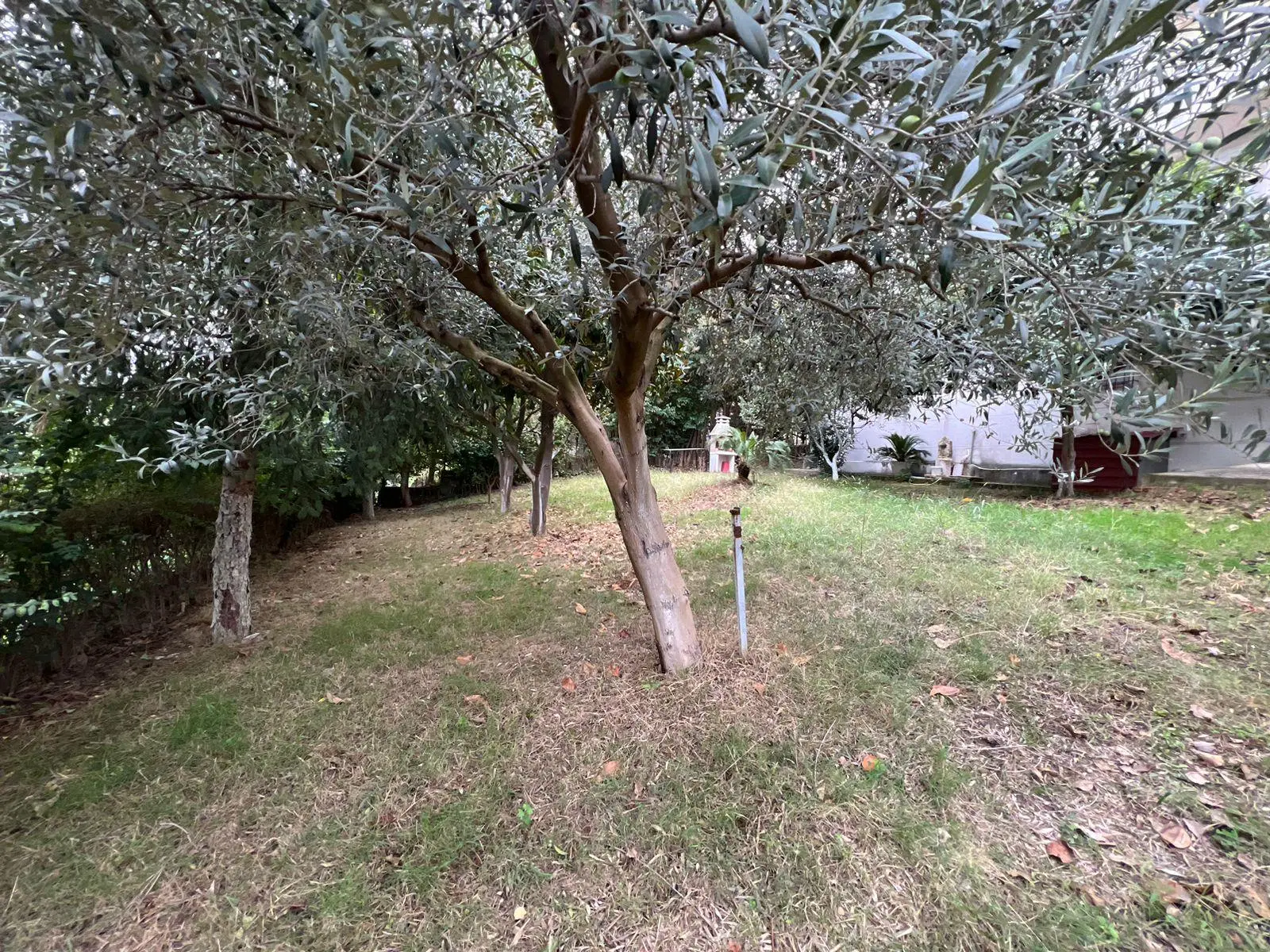 f0da2474-3d93-480f-a41c-ce42a915a485 Villa with Land for Sale in Farkë e Vogël, Tirana