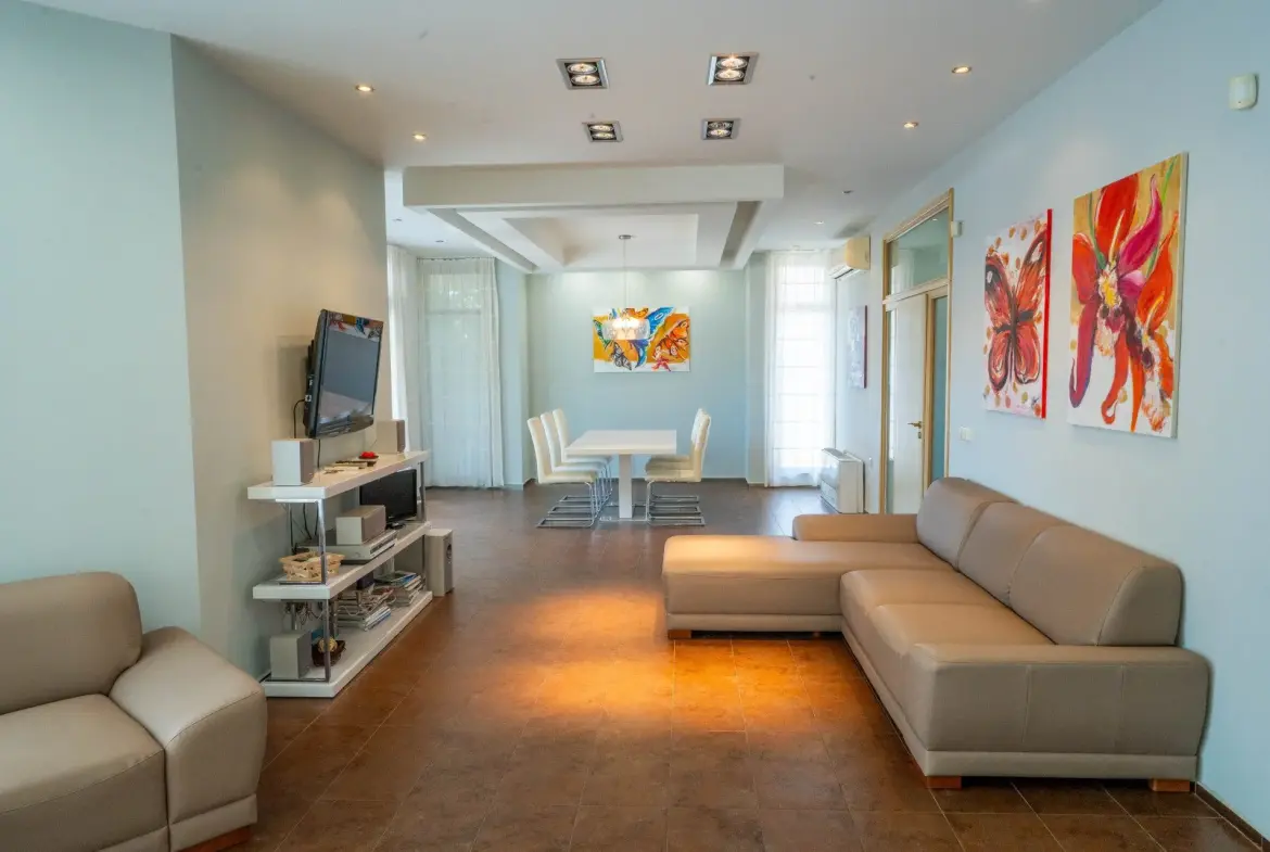 Spacious detached house in excellent condition and swimming pool in Budjaka area