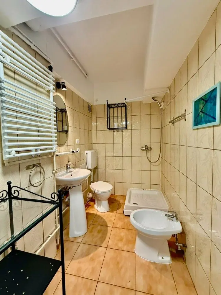 garsoniera-de-vanzare-zona-parc-cismigiu-bucuresti-316-mp-rgt42360-6-1 Studio for sale Cismigiu Park area, Bucharest 31.6 sqm