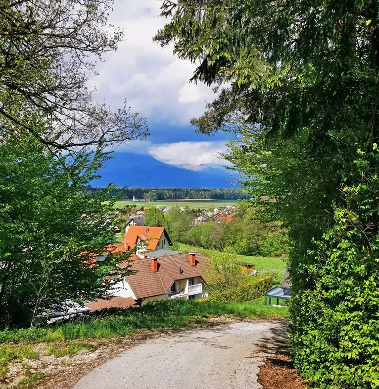 Ljubljana Area – A house with commercial space and a large, beautiful plot near Smlednik