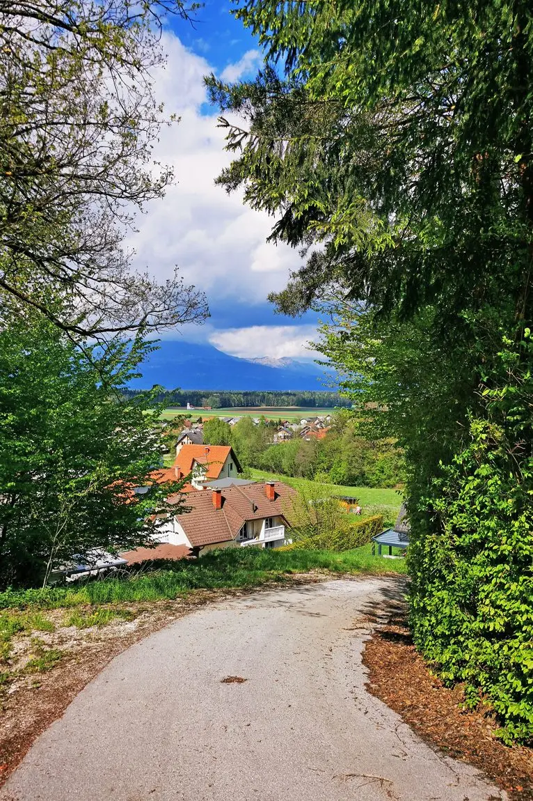 Ljubljana Area – A house with commercial space and a large, beautiful plot near Smlednik