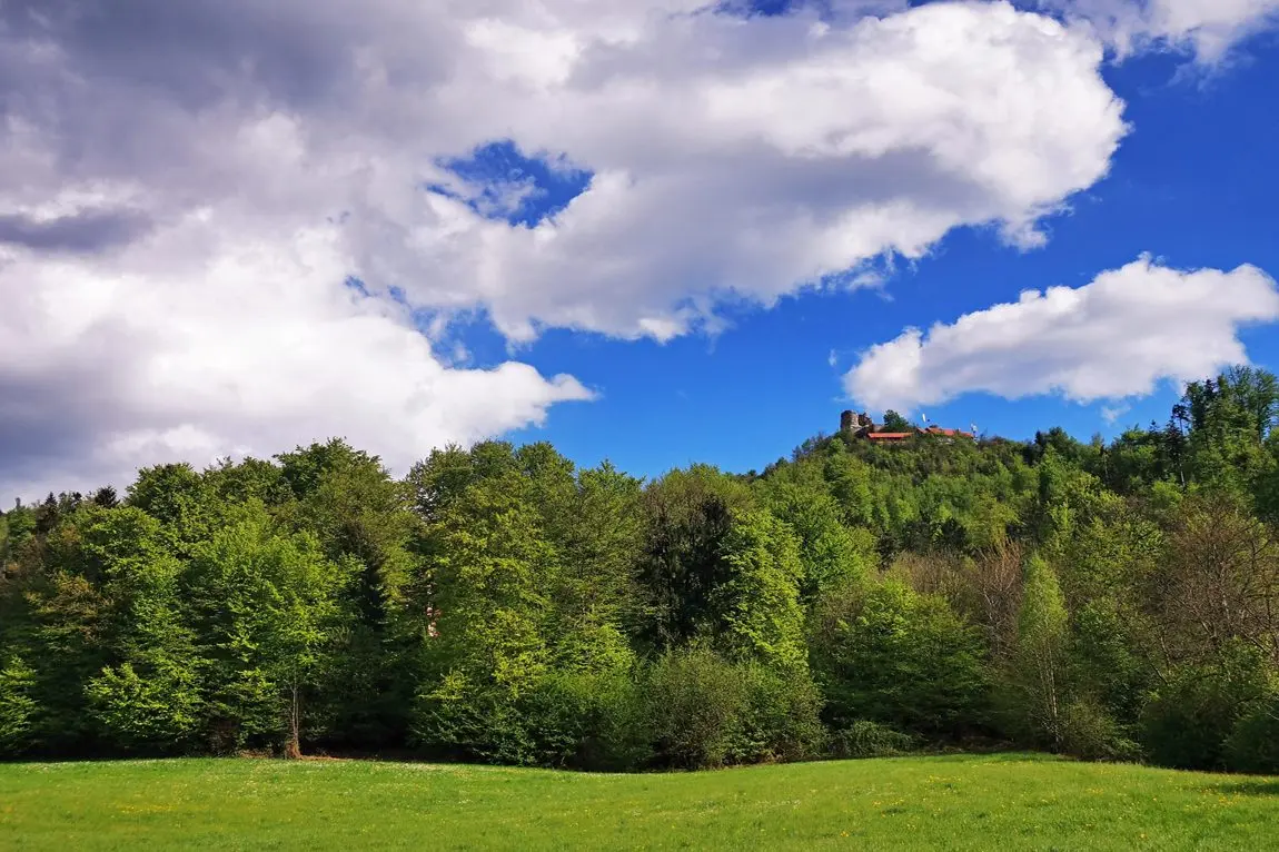 Ljubljana Area – A house with commercial space and a large, beautiful plot near Smlednik