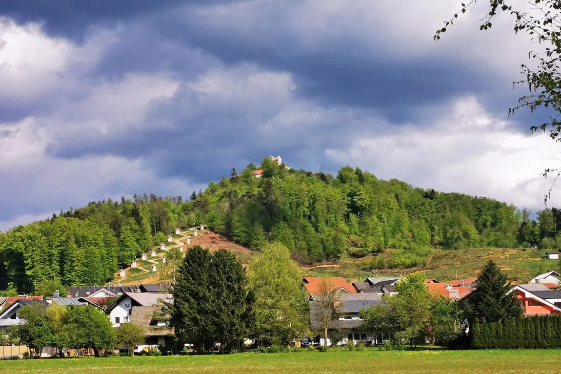 Ljubljana Area – A house with commercial space and a large, beautiful plot near Smlednik