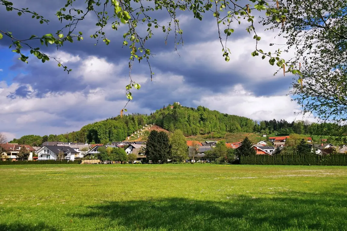 Ljubljana Area – A house with commercial space and a large, beautiful plot near Smlednik