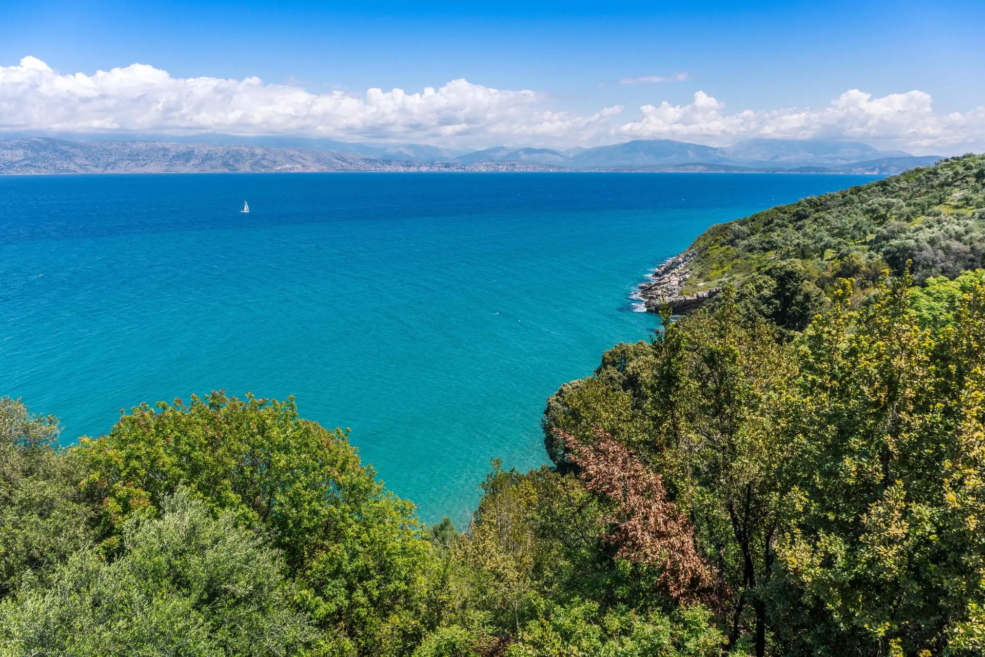 pasithea-greece-sothebys-international-realty49-2019-05-25_05-17-57_326076 Pasithea – House in Corfu