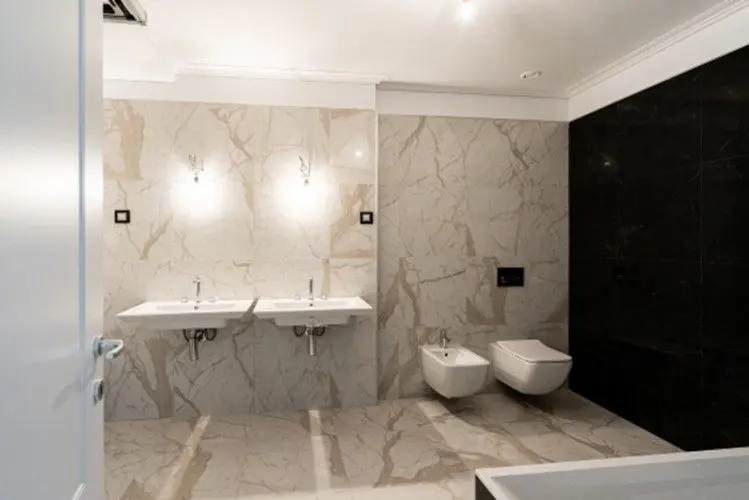 Penthouse for sale 5 rooms Herastrau area 480 sqm
