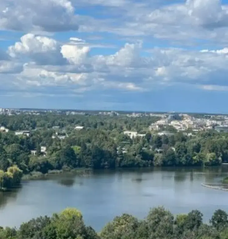 Exquisite penthouse for sale 8 rooms Primaverii area, Bucharest