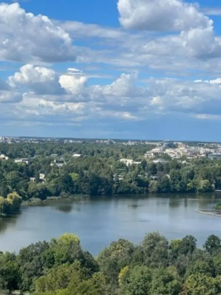 Exquisite penthouse for sale 8 rooms Primaverii area, Bucharest