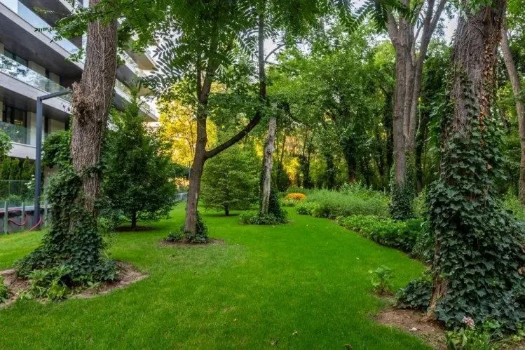 Apartment for sale 3 rooms Floreasca area, Bucharest 227.5 sqm
