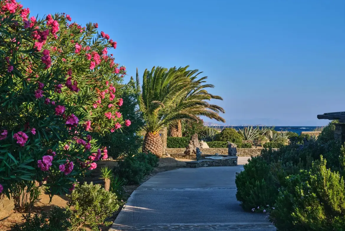 Althea – House in Tinos