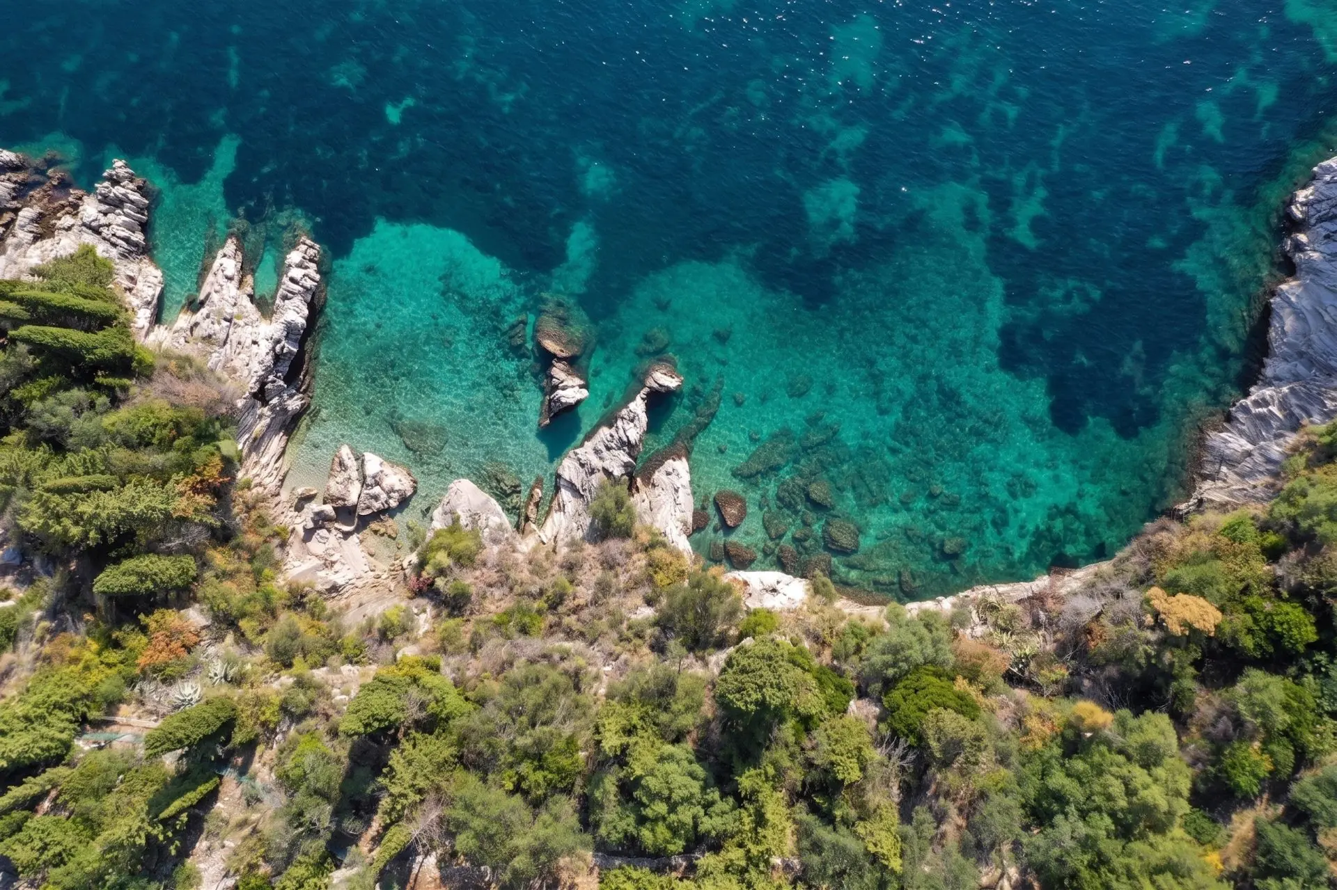sothebys-greece-anassa-2026-06-26_13-18-49_562559 Anassa – House in Corfu