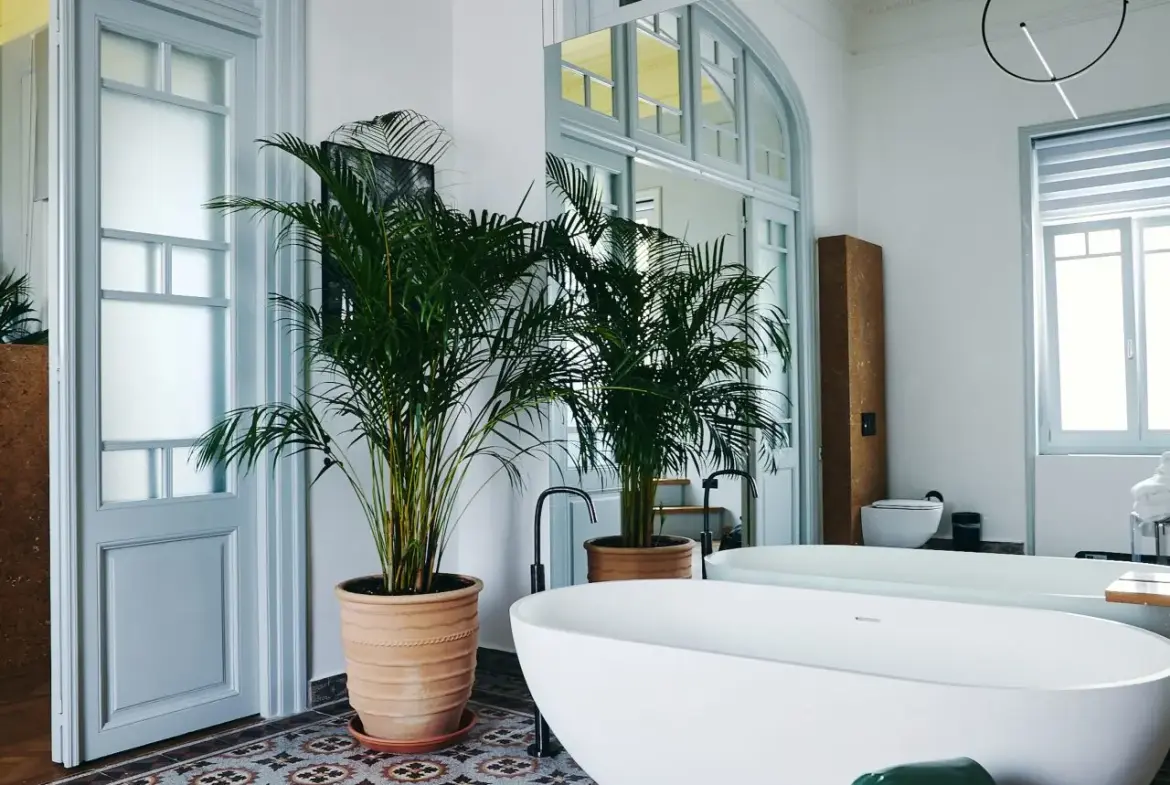 Andromeda – House in Syros
