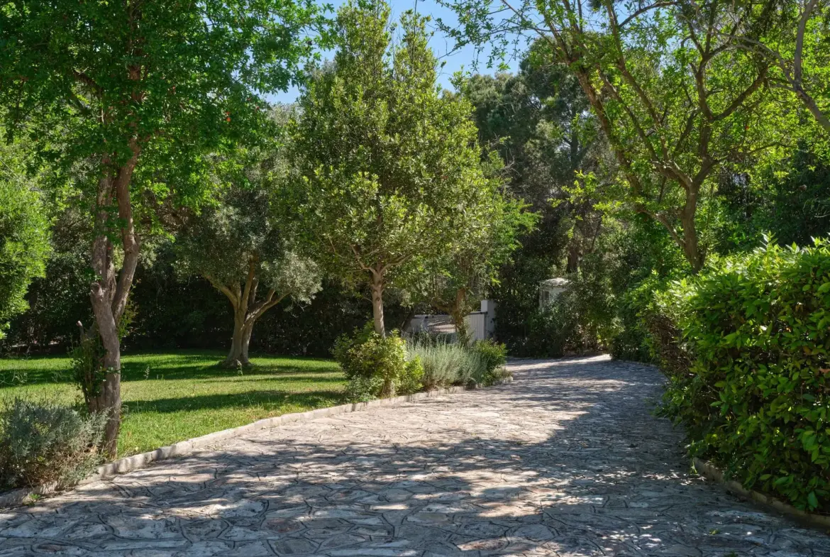 Athenia – House with guest house in Psichiko