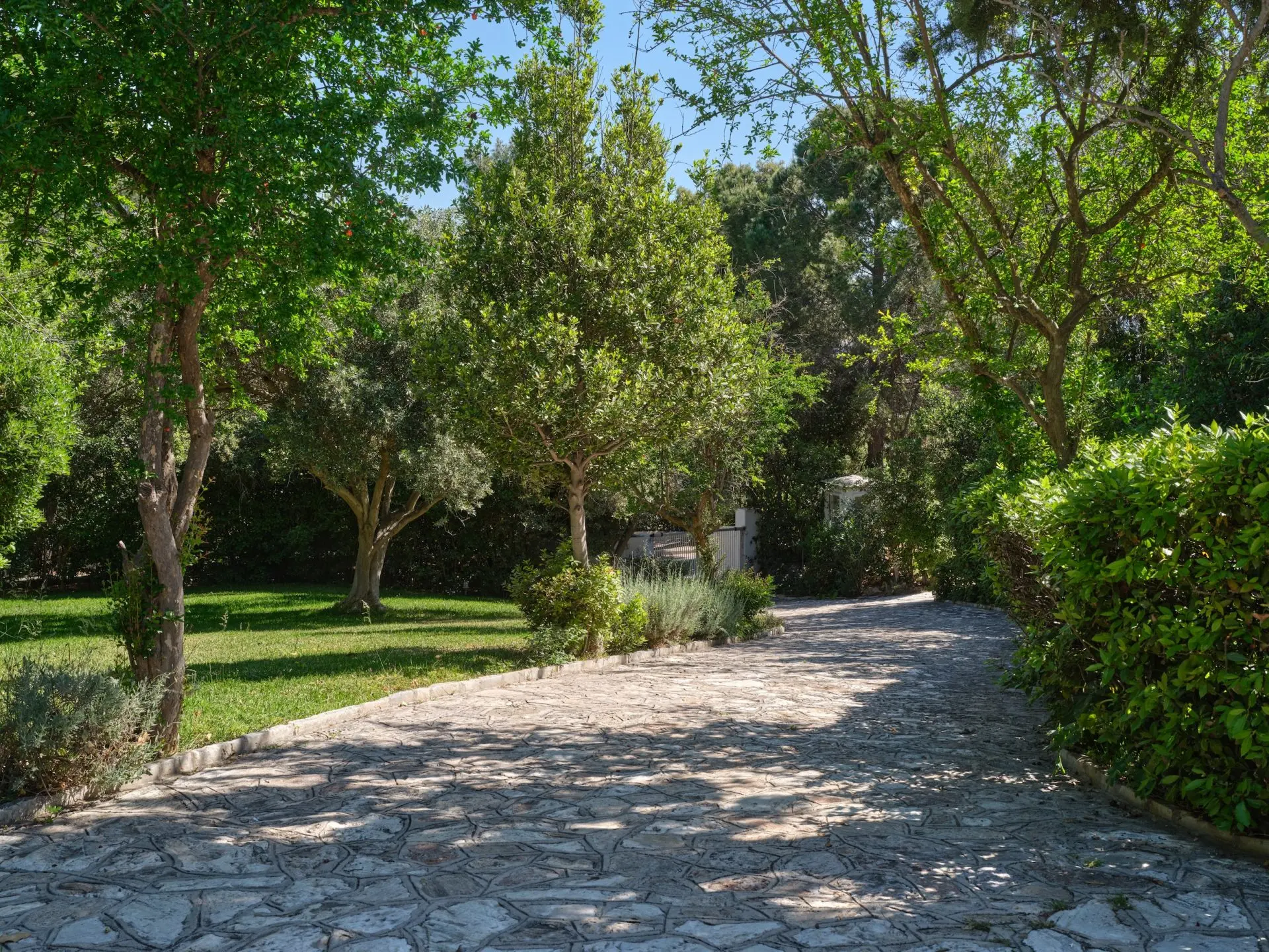 Athenia – House with guest house in Psichiko