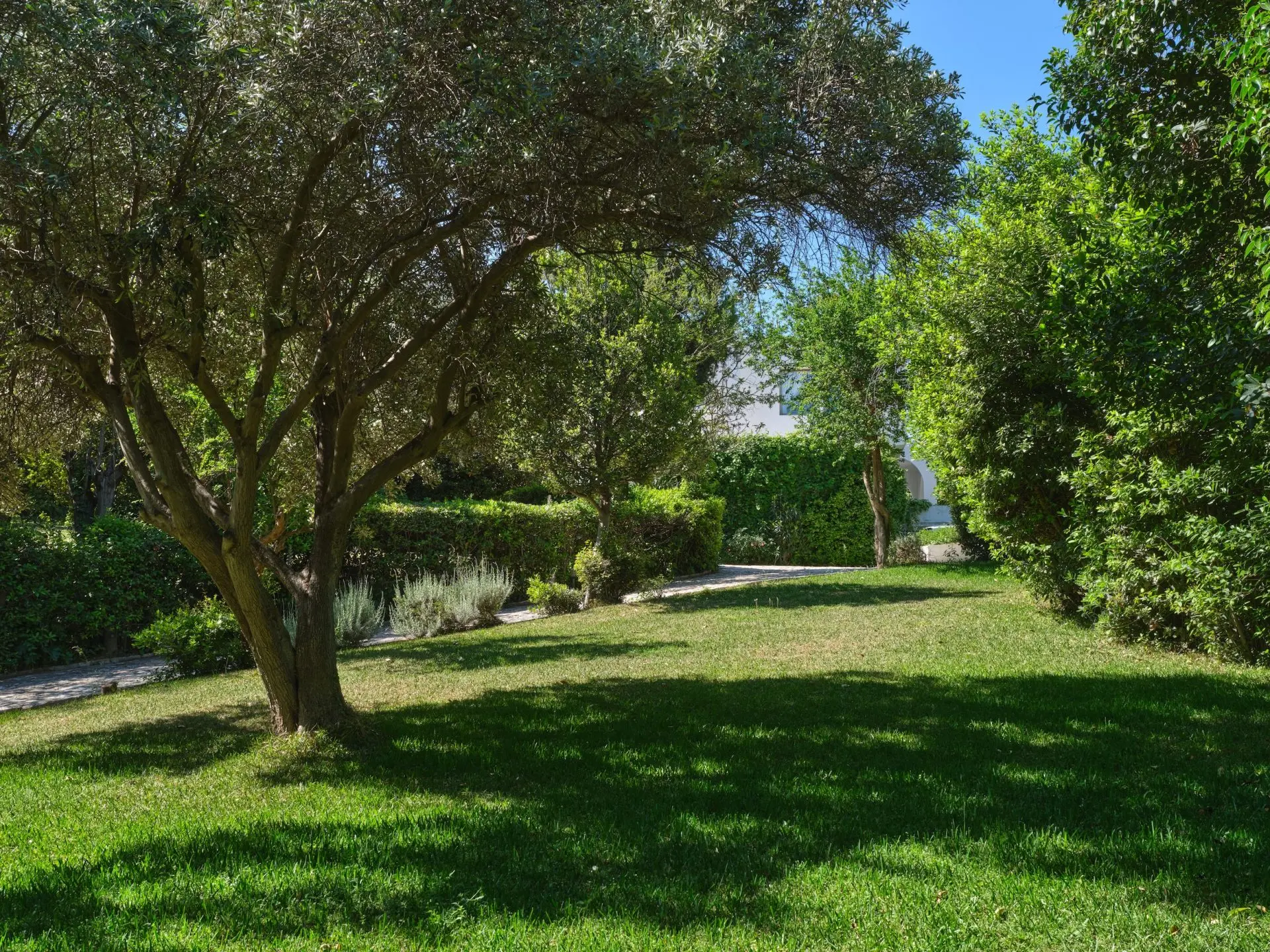 Athenia – House with guest house in Psichiko