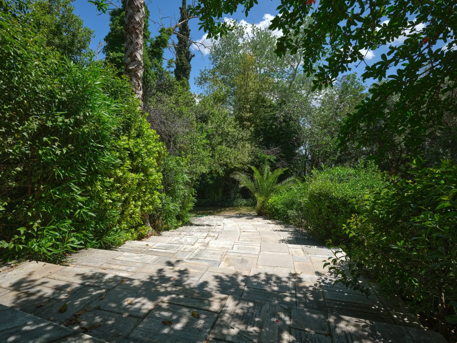Athenia – House with guest house in Psichiko