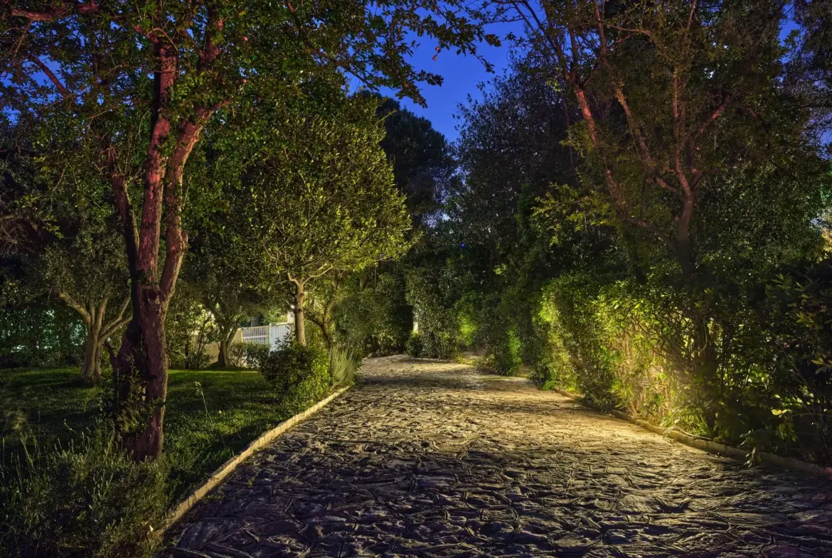Athenia – House with guest house in Psichiko