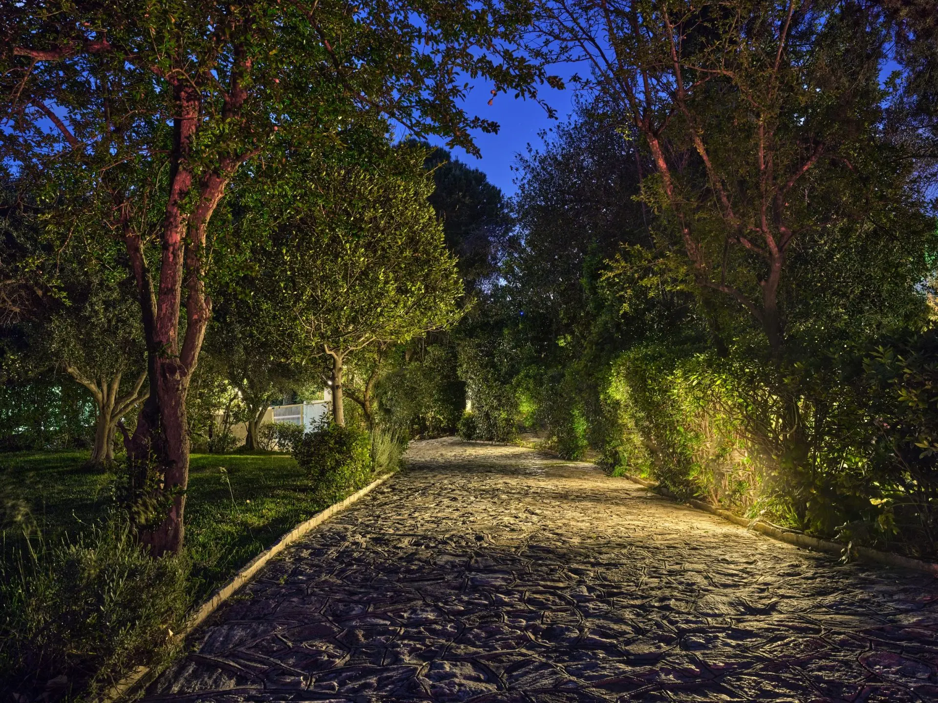 Athenia – House with guest house in Psichiko