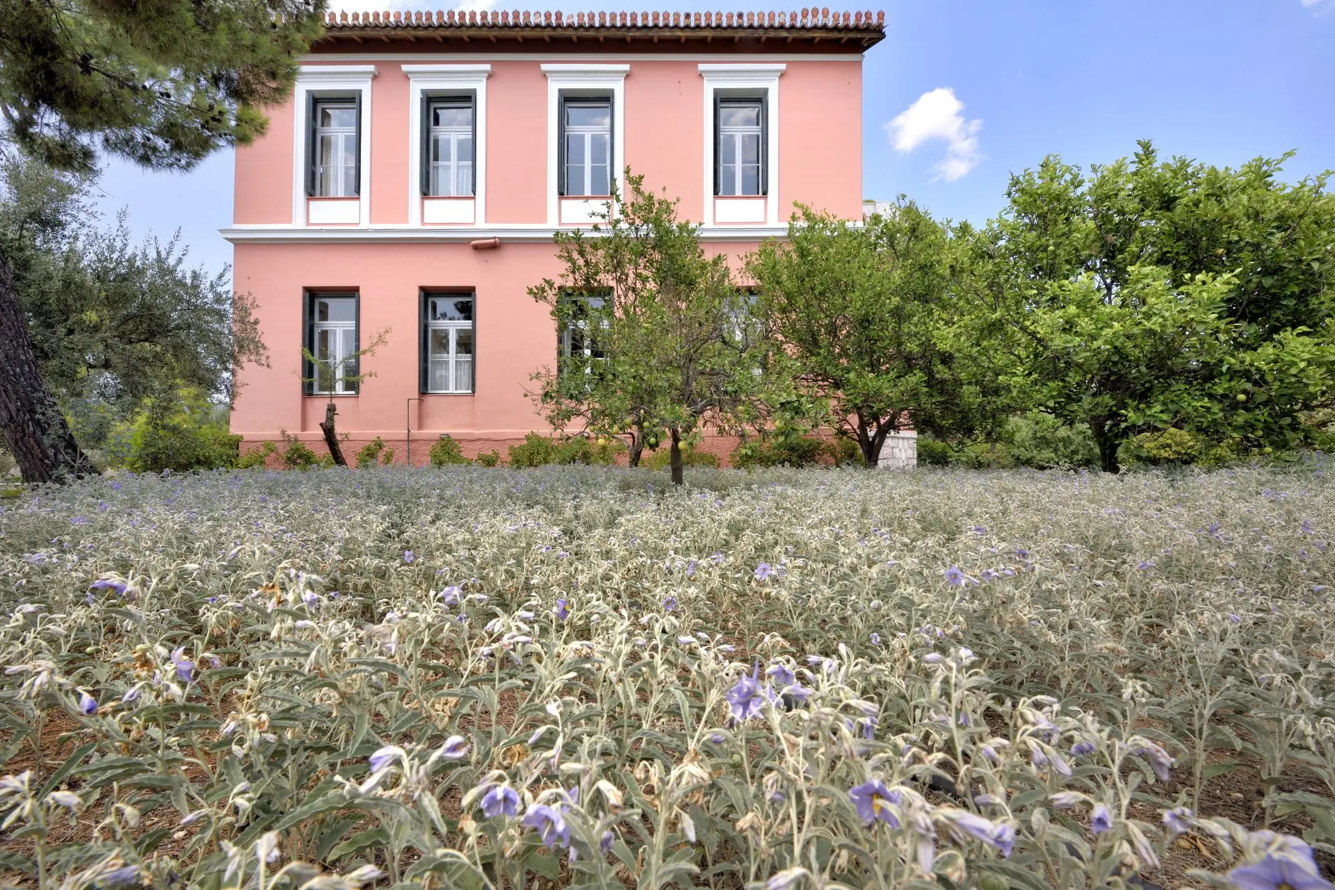 Aurelia – Villa in Ermioni