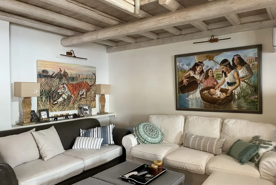 Castello – House with guest house in Andros