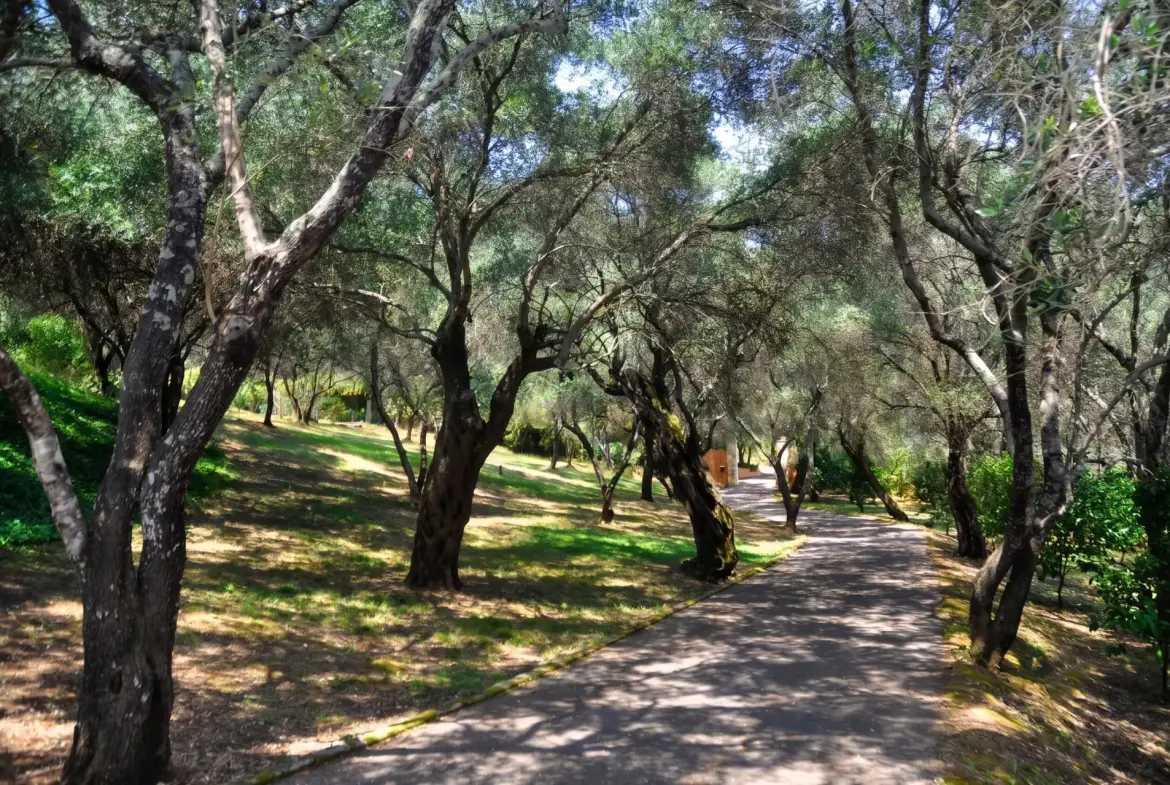 Grace – House in Corfu