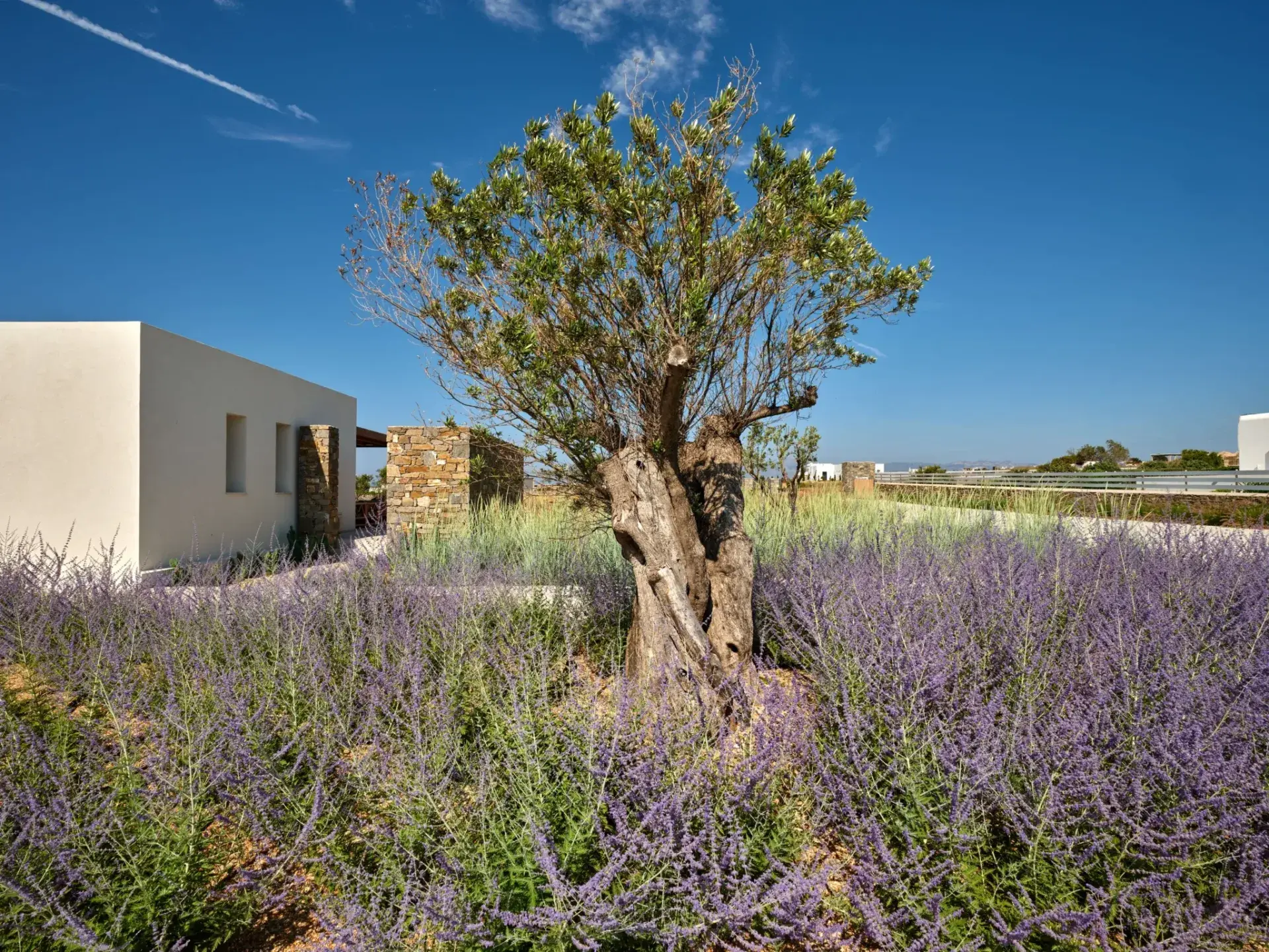 Hesperia – House in Paros