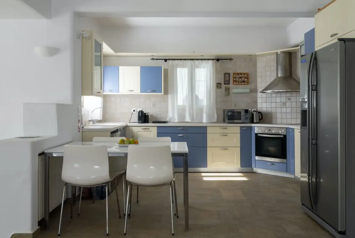 Ianos – House in Paros
