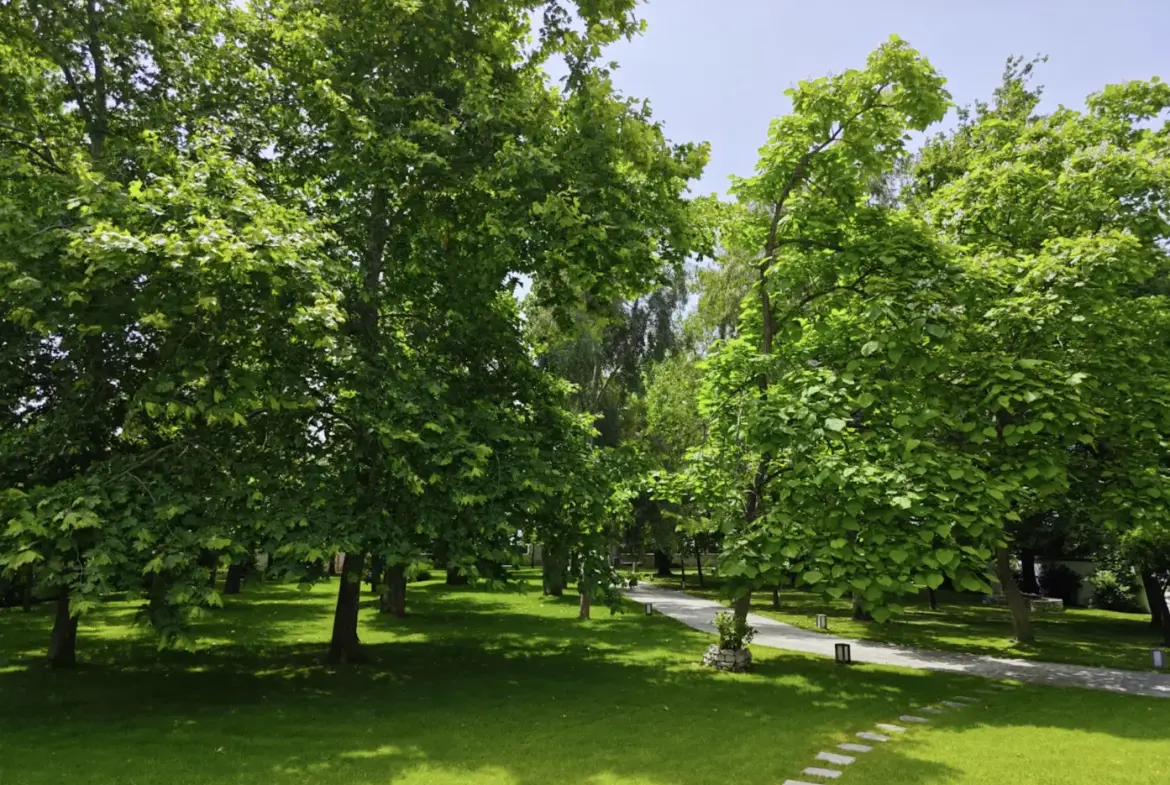 Marea – House in Thessaly