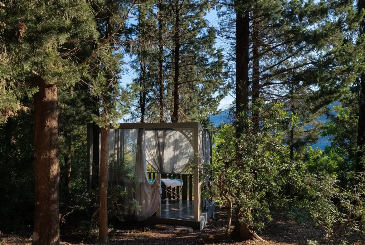 Penelope – House in Ithaca