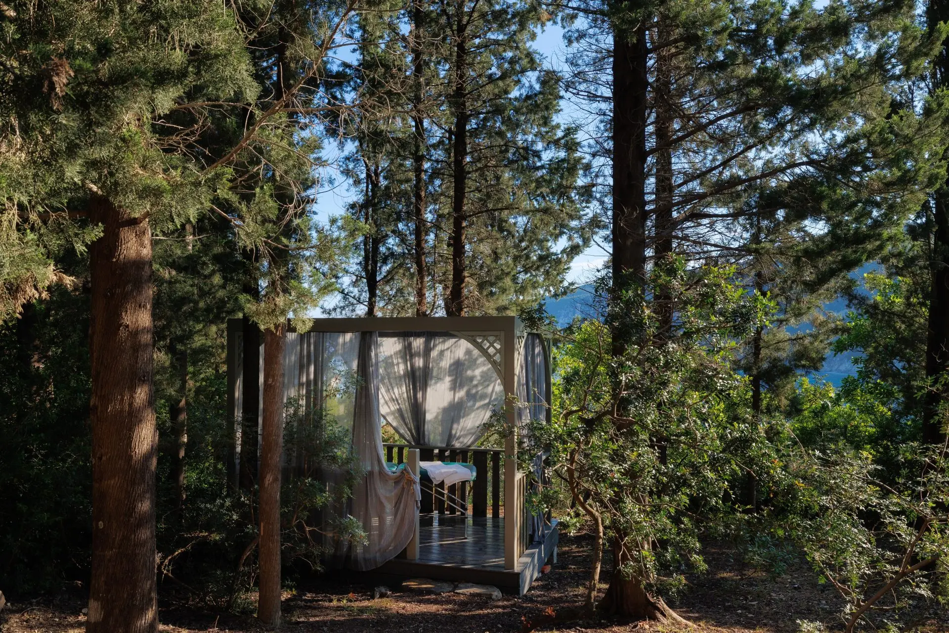 Penelope – House in Ithaca