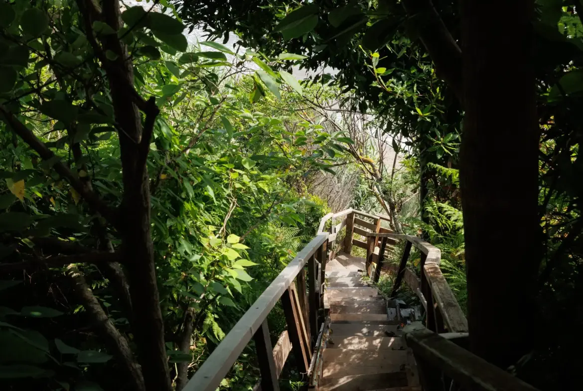 Rosalia – House in Corfu