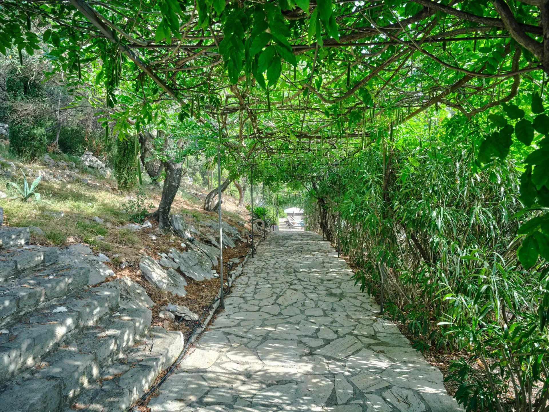 sothebys-greece-the-grand-estate-2026-04-01_15-07-53_615096 Linamia – House in Corfu