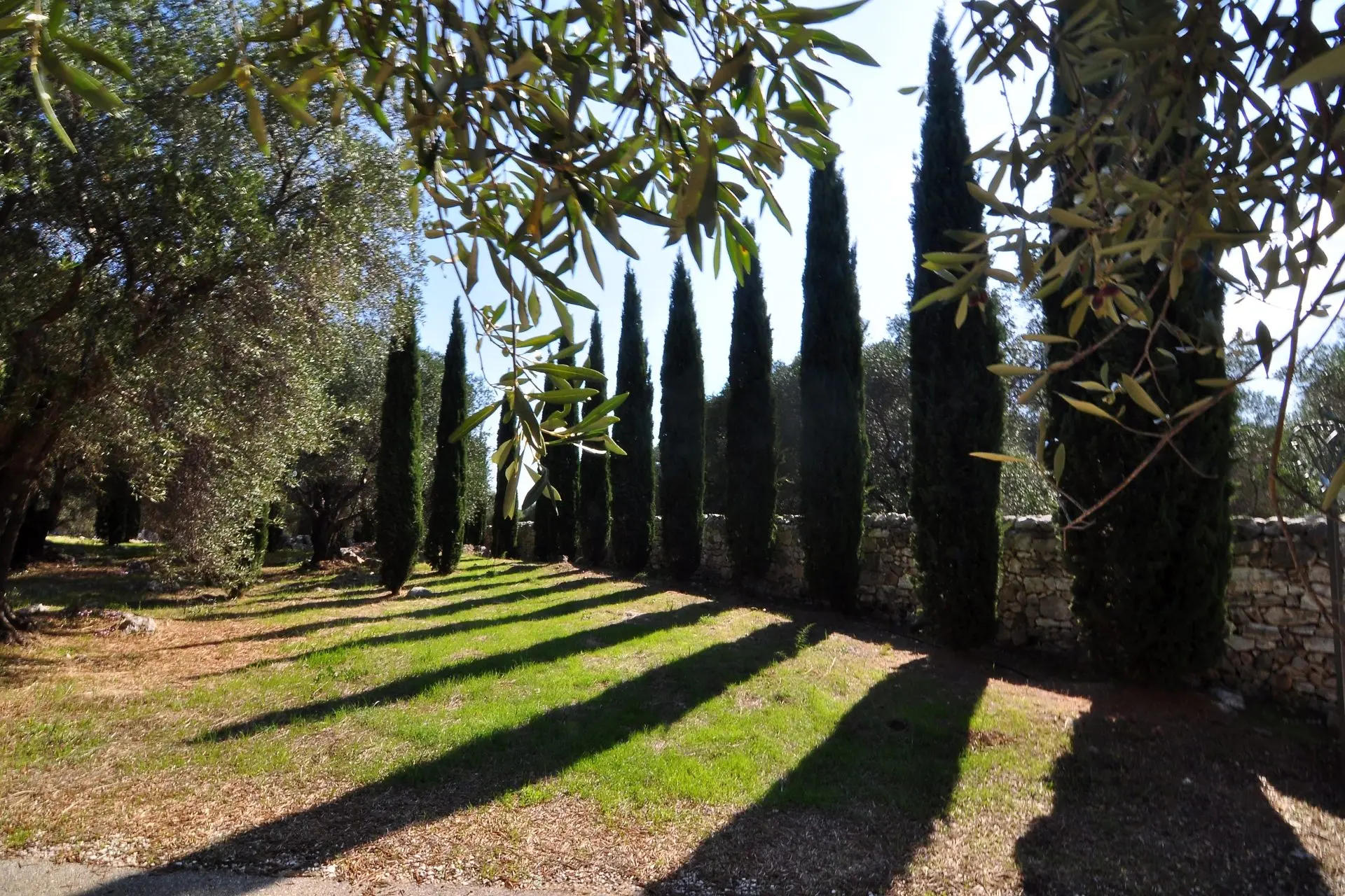 sothebys-greece-the-grand-estate-2026-04-01_15-08-37_577419 Linamia – House in Corfu