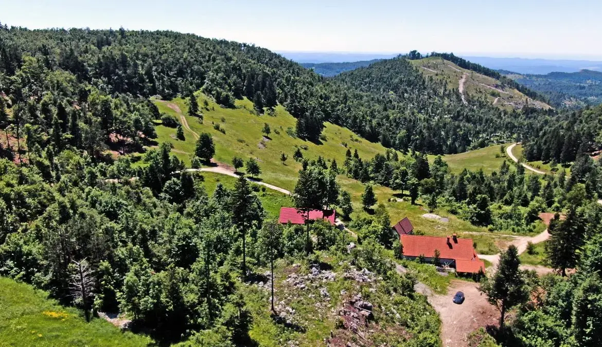 Vipava Valley – Vipava Valley Estate with spectacular views towards the mountains and the Adratic sea