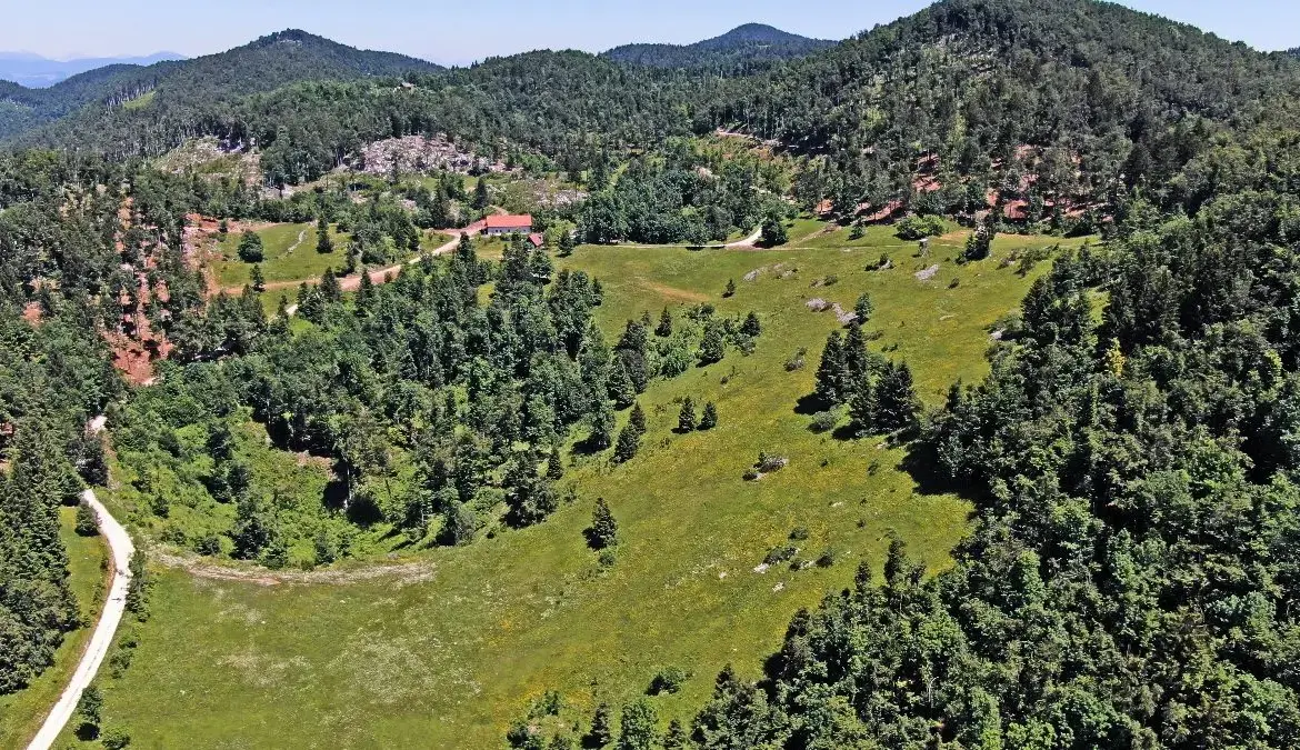 Vipava Valley – Vipava Valley Estate with spectacular views towards the mountains and the Adratic sea