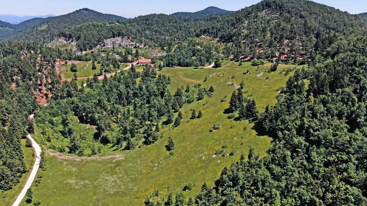 Vipava Valley – Vipava Valley Estate with spectacular views towards the mountains and the Adratic sea