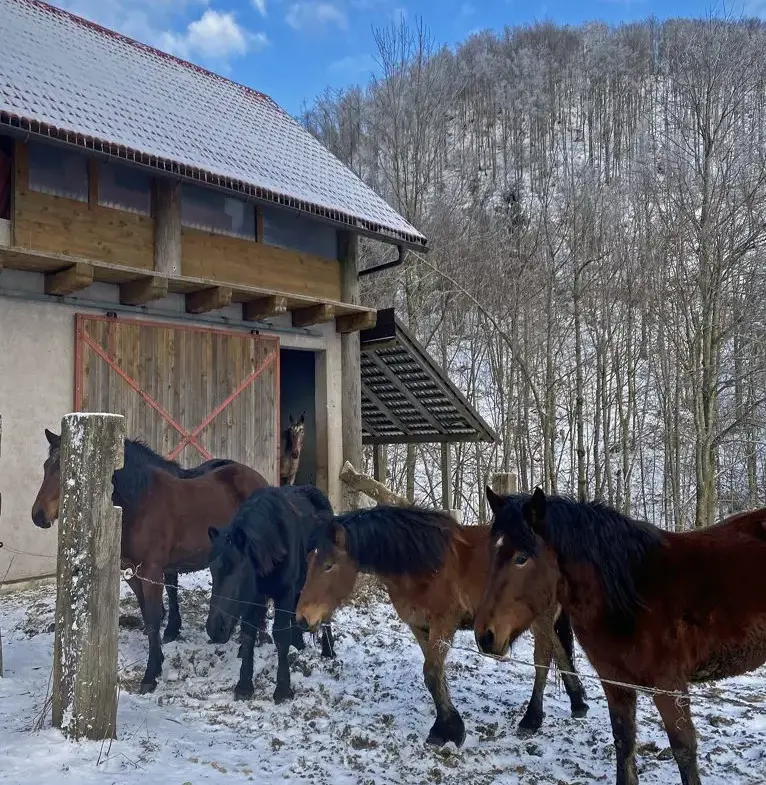 Vipava Valley – Vipava Valley Estate with spectacular views towards the mountains and the Adratic sea