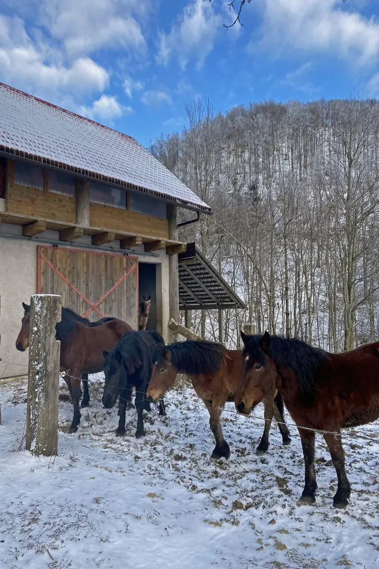 Vipava Valley – Vipava Valley Estate with spectacular views towards the mountains and the Adratic sea
