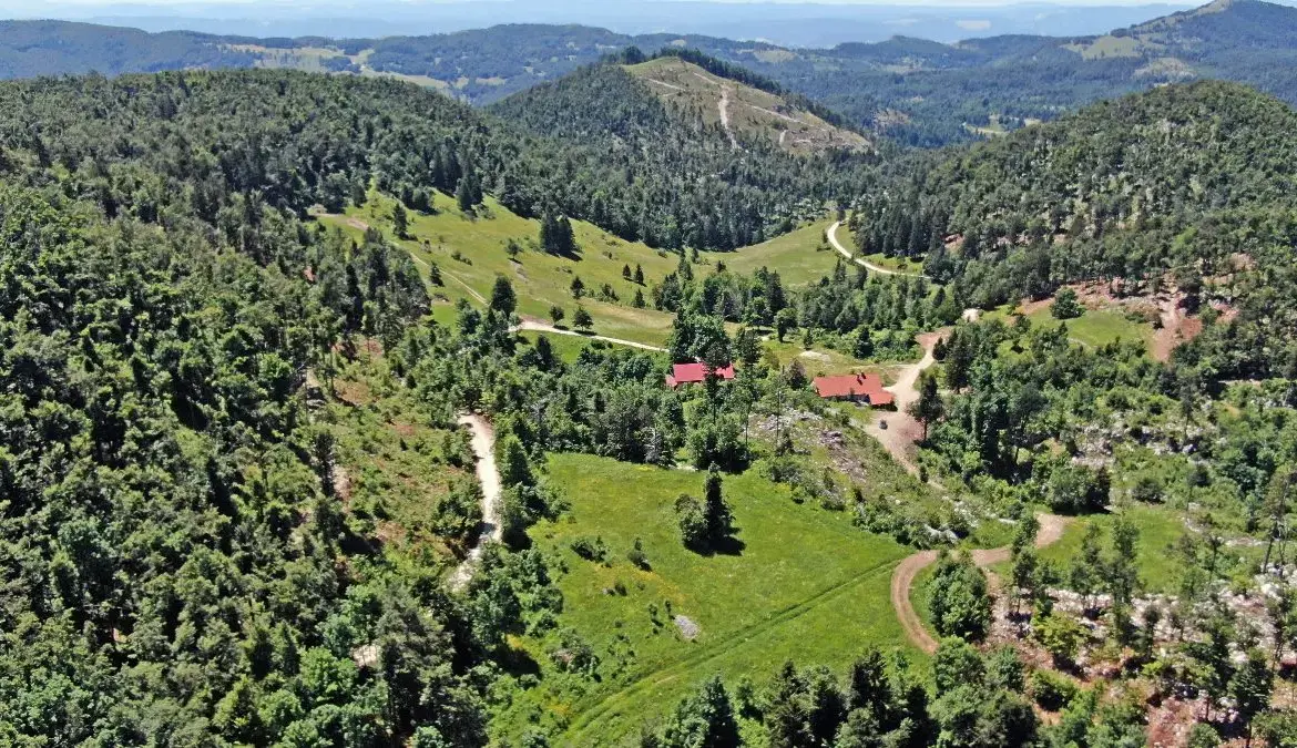 Vipava Valley – Vipava Valley Estate with spectacular views towards the mountains and the Adratic sea