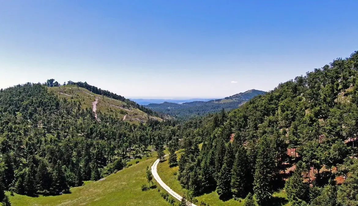 Vipava Valley – Vipava Valley Estate with spectacular views towards the mountains and the Adratic sea